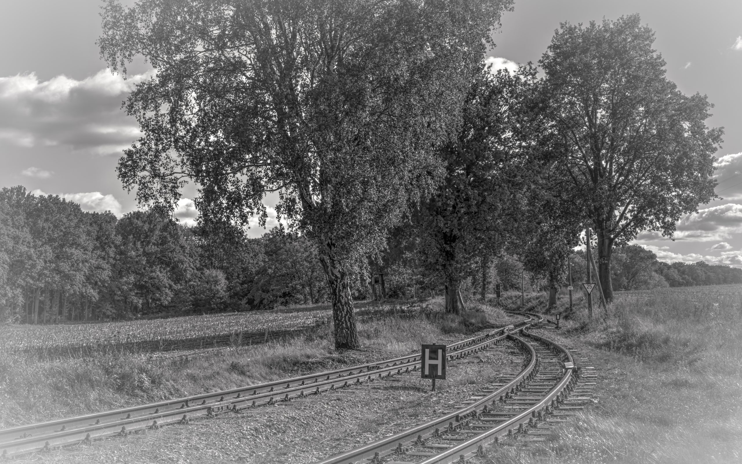 RS_JHV2025_Pollo_Klenzenhof_Prignitz-10