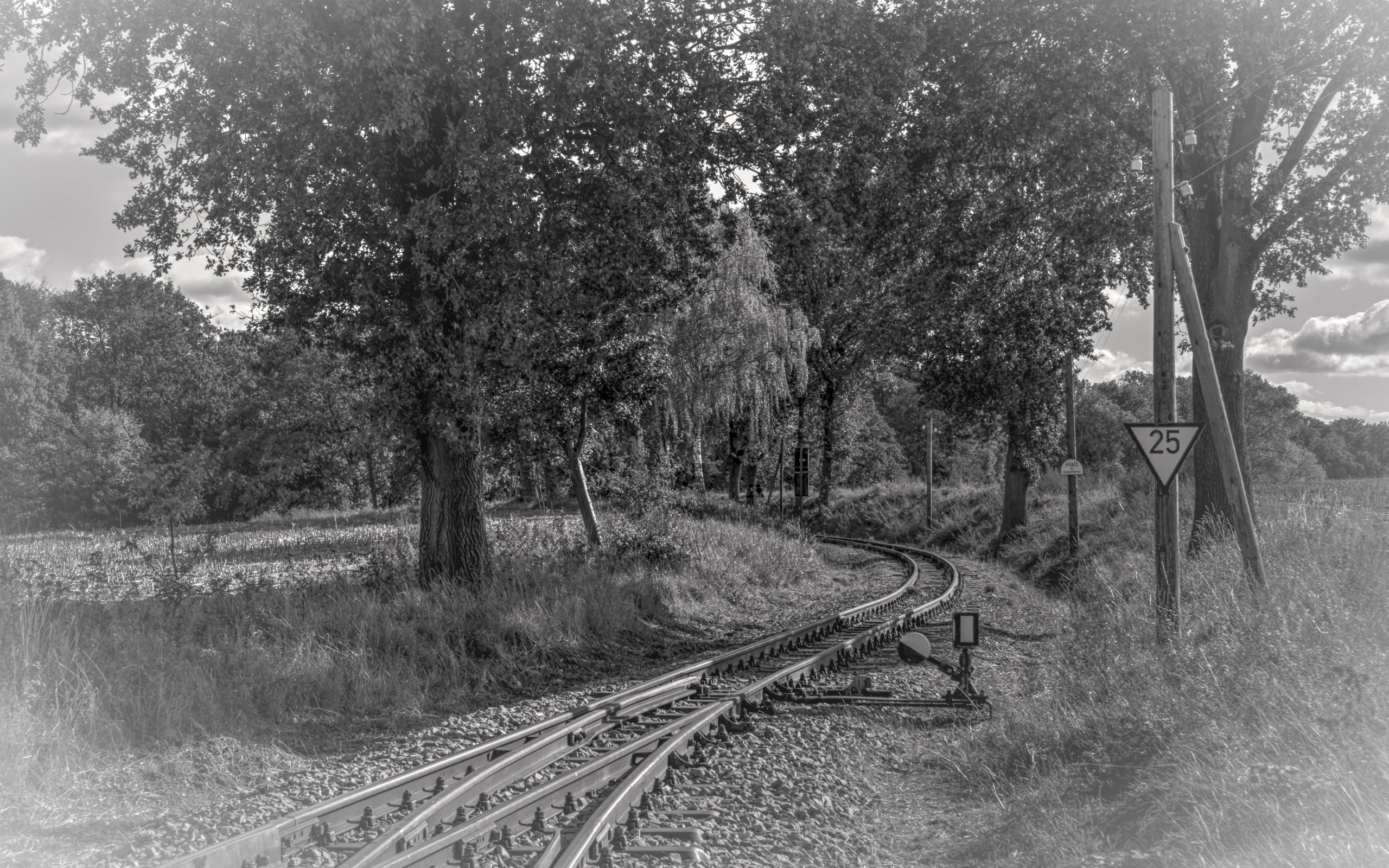 RS_JHV2025_Pollo_Klenzenhof_Prignitz-11