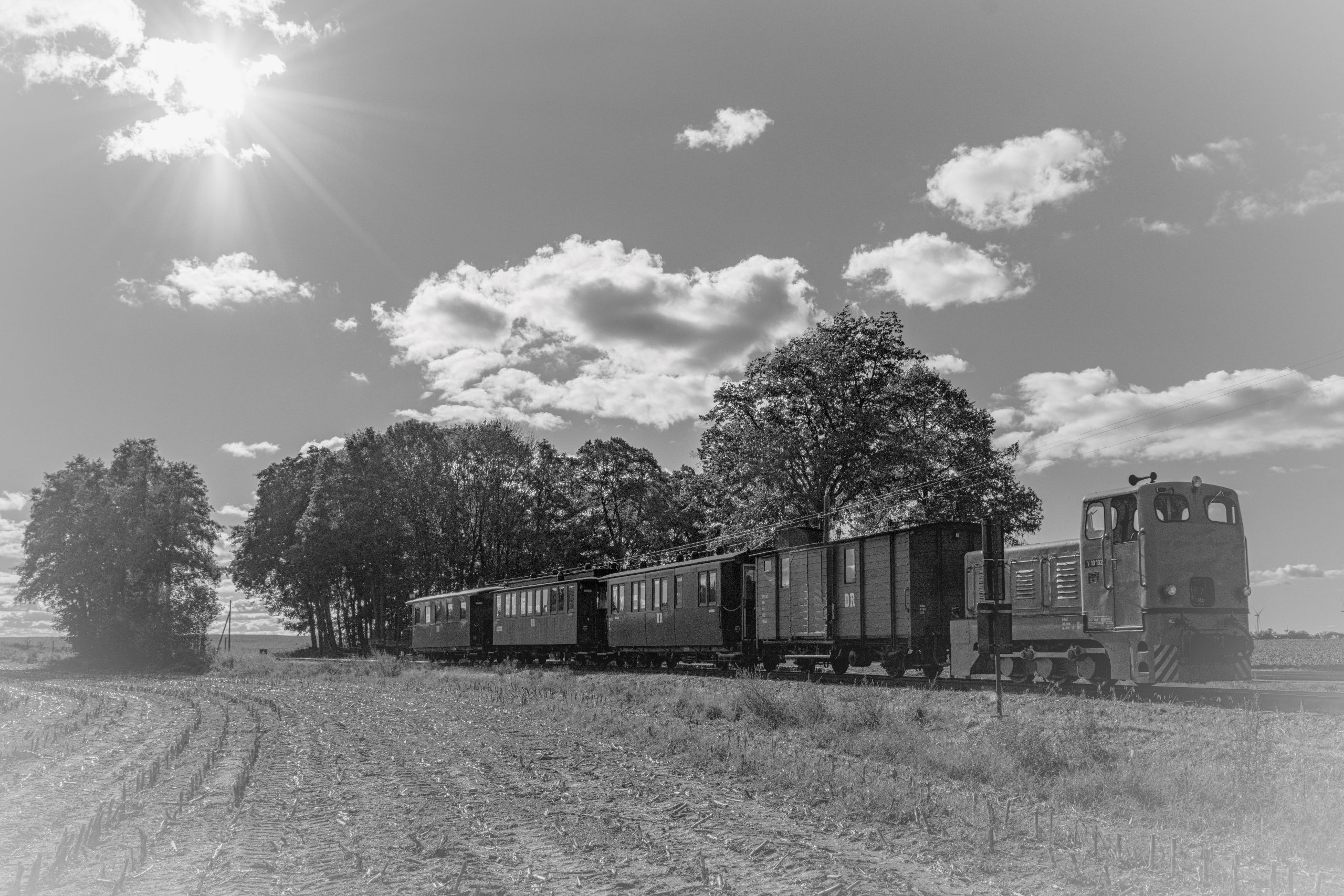 RS_JHV2025_Pollo_Klenzenhof_Prignitz-2