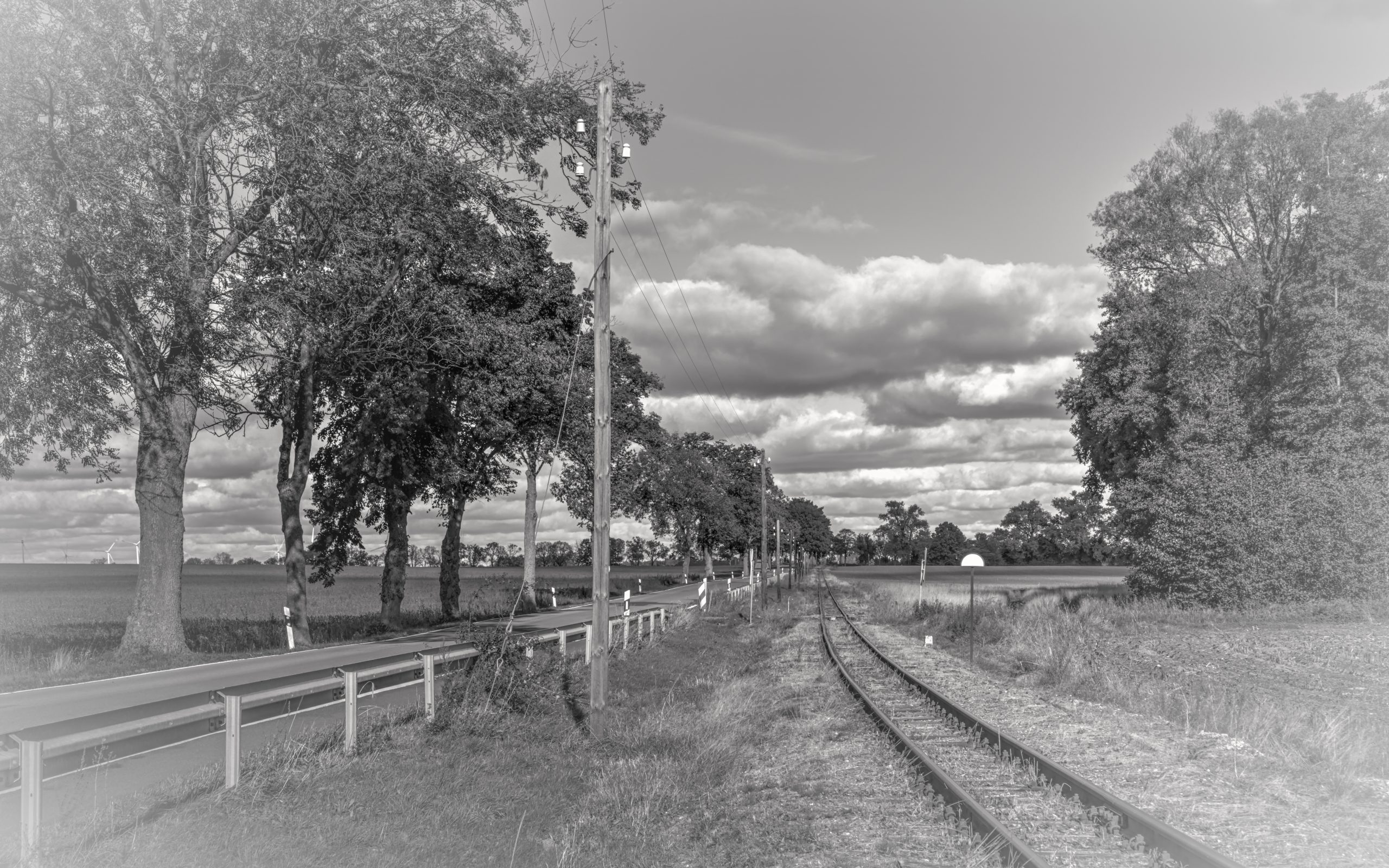 RS_JHV2025_Pollo_Klenzenhof_Prignitz