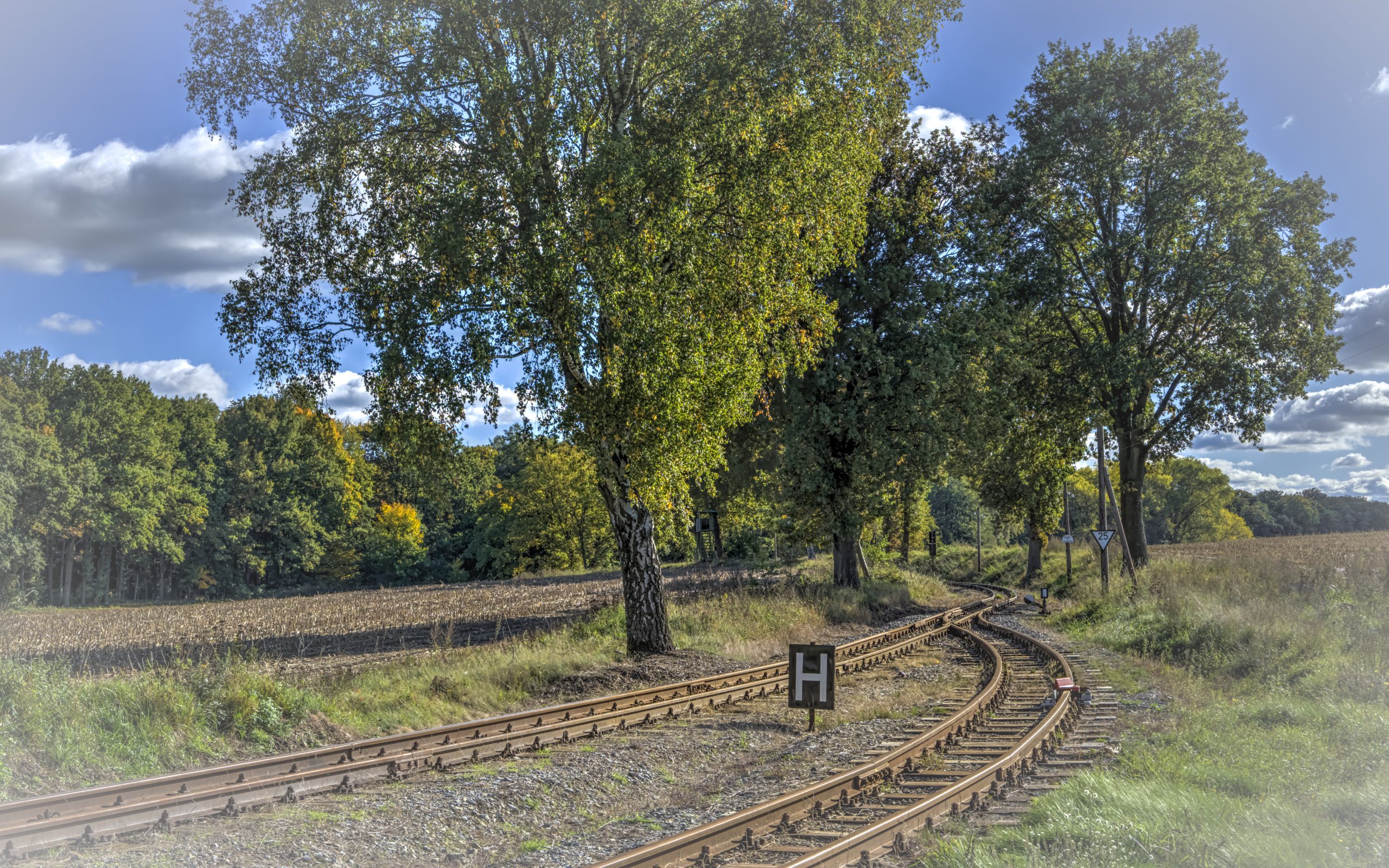 RS_JHV2025_Pollo_Klenzenhof_Prignitz_Farbe-10