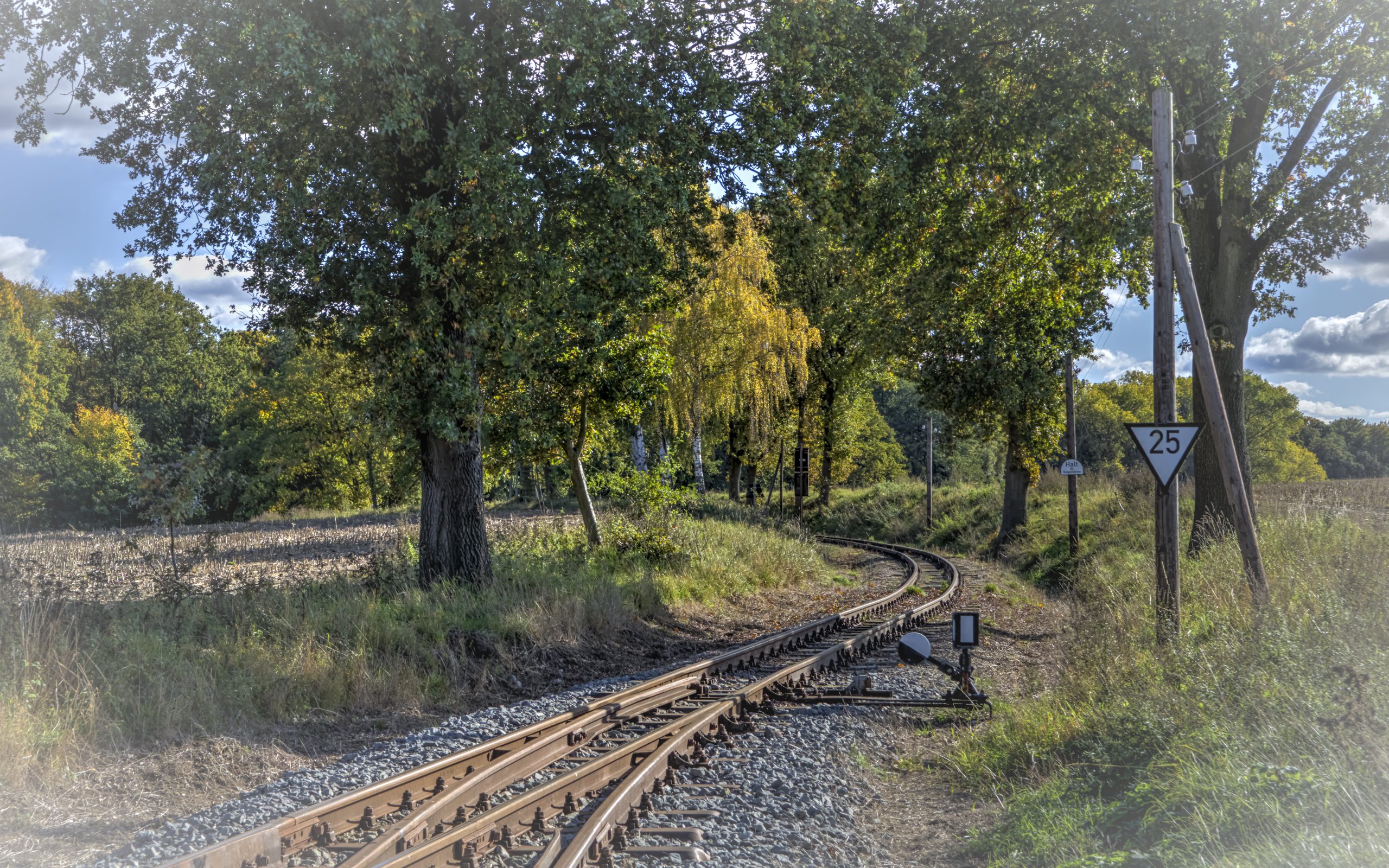 RS_JHV2025_Pollo_Klenzenhof_Prignitz_Farbe-11