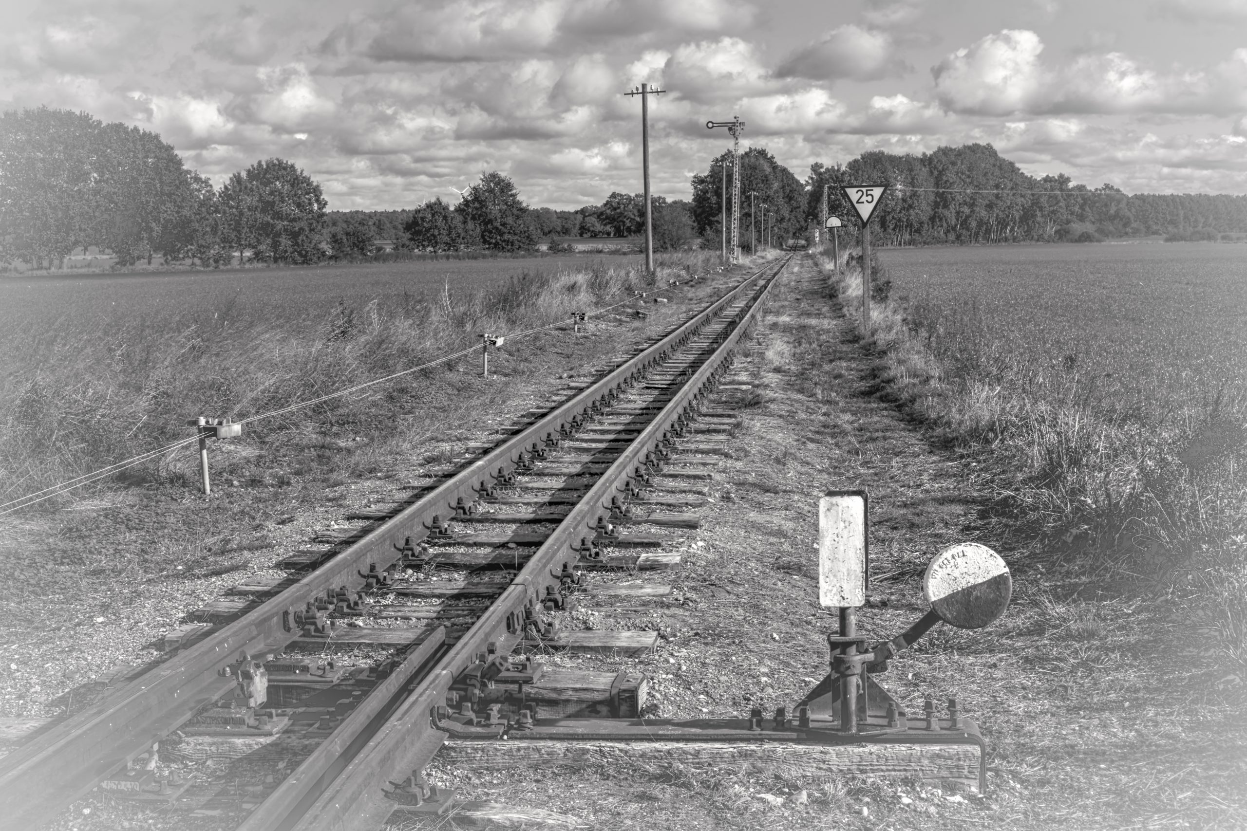 RS_JHV2025_Pollo_Lindenberg_Prignitz-12