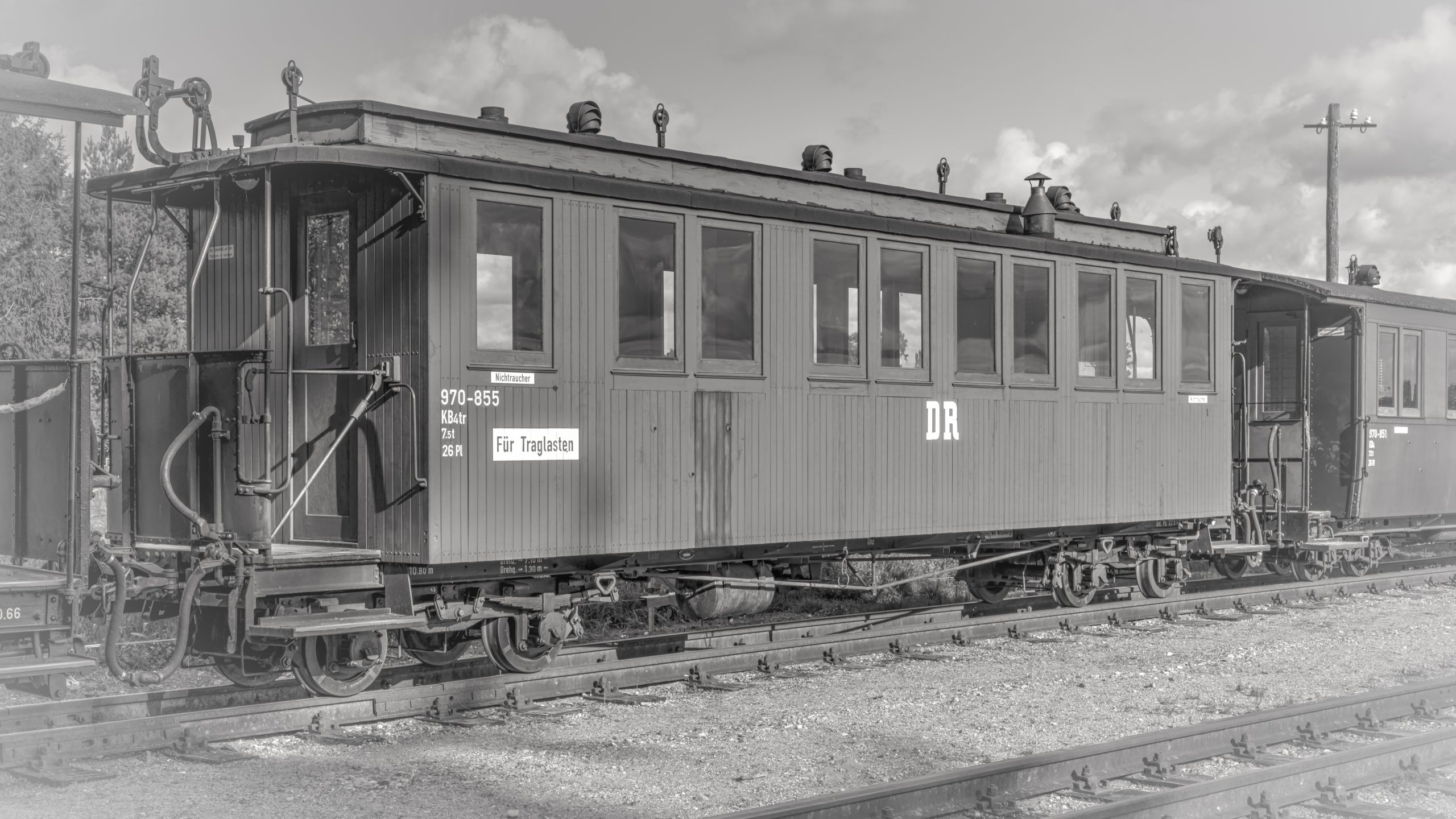 RS_JHV2025_Pollo_Lindenberg_Prignitz-9