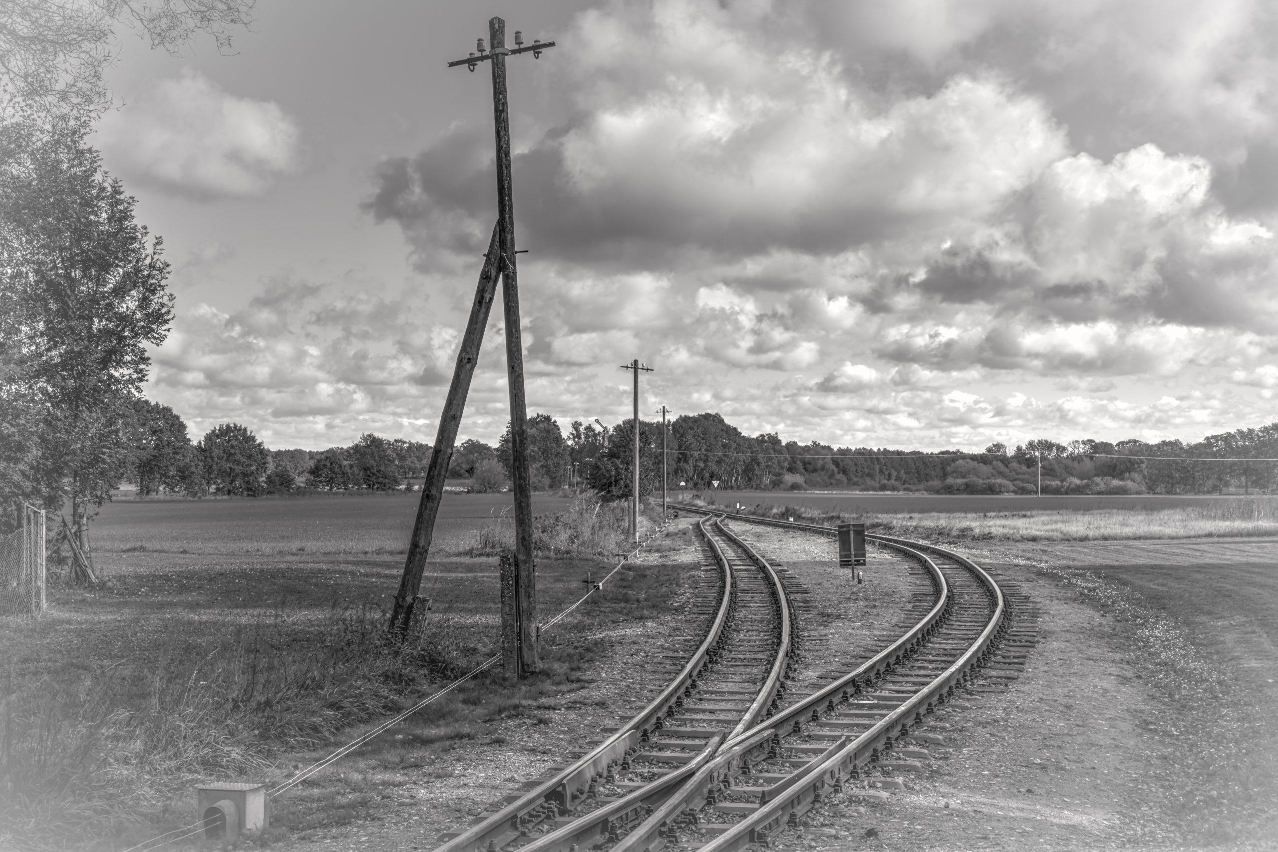 RS_JHV2025_Pollo_Lindenberg_Prignitz