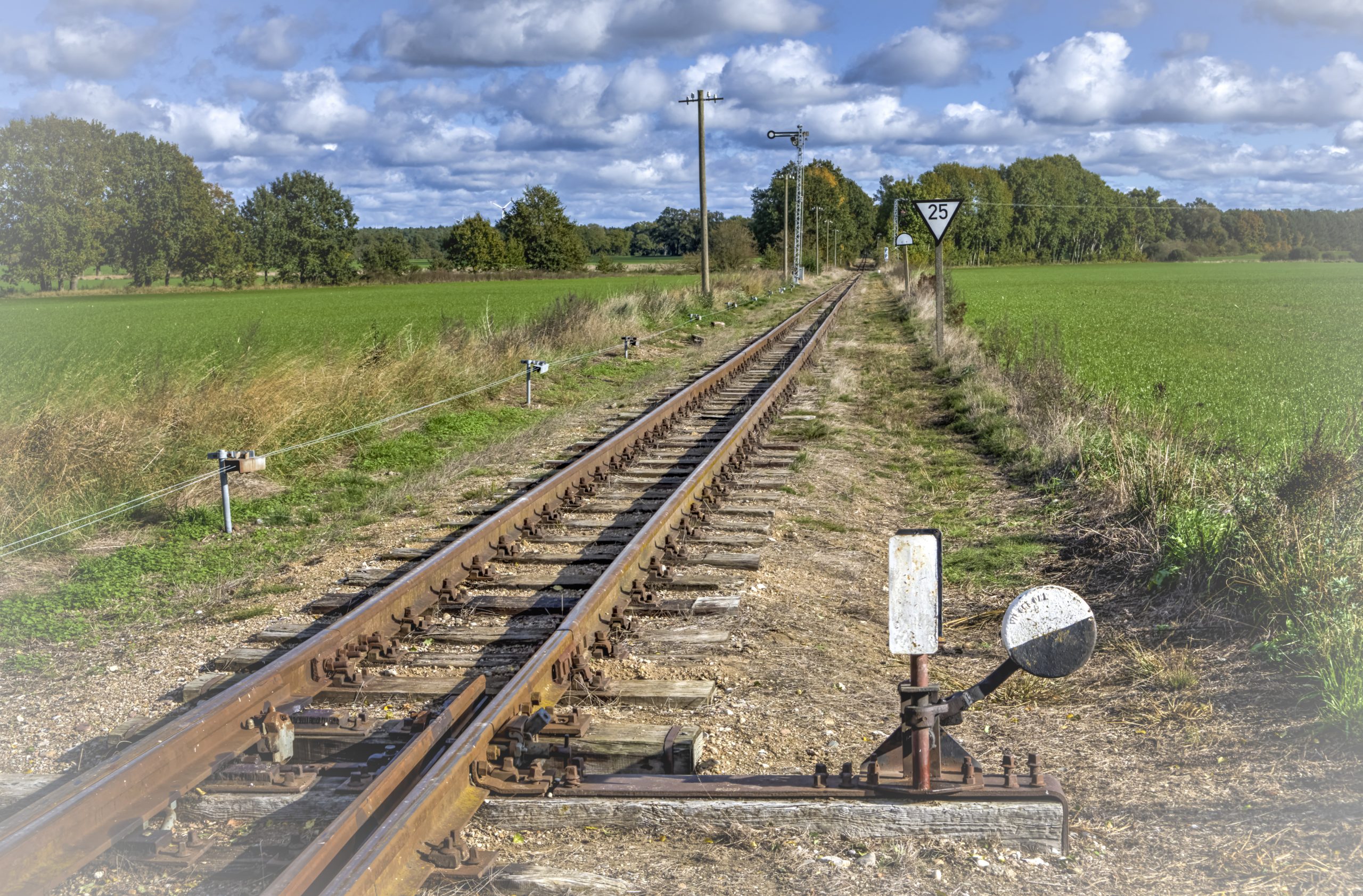 RS_JHV2025_Pollo_Lindenberg_Prignitz_Farbe-13