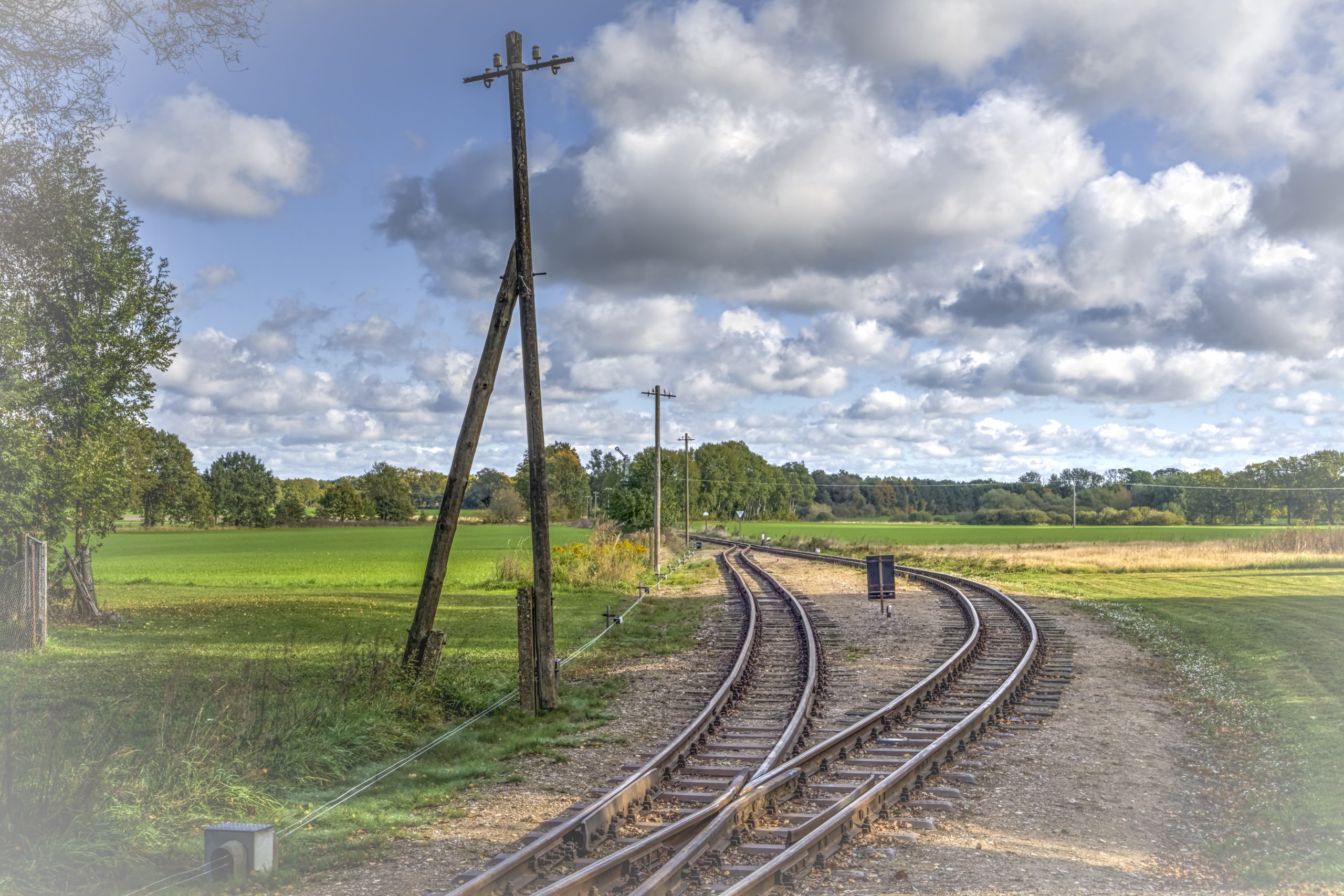 RS_JHV2025_Pollo_Lindenberg_Prignitz_Farbe